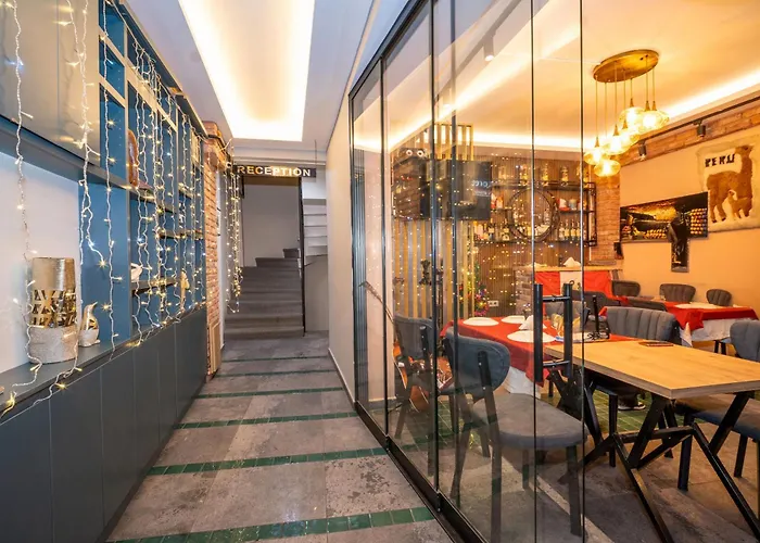 Martin Стамбул